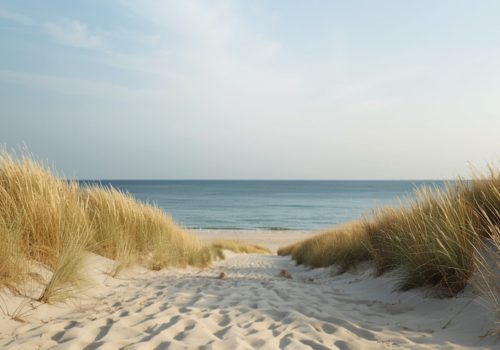 Vakantiehuis 12 personen aan zee