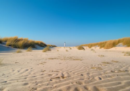 Vakantiehuis 12 personen Ameland