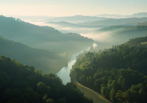 Vakantiehuis 12 personen Ardennen