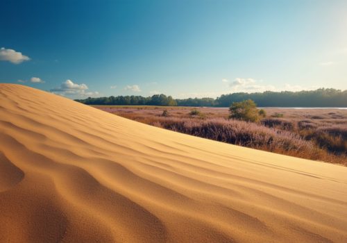 Vakantiehuis 12 personen Noord Brabant