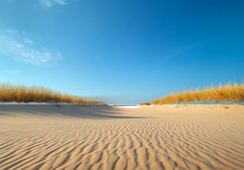 Vakantiehuis 12 personen Waddeneilanden