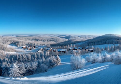 Vakantiehuis 12 personen Winterberg