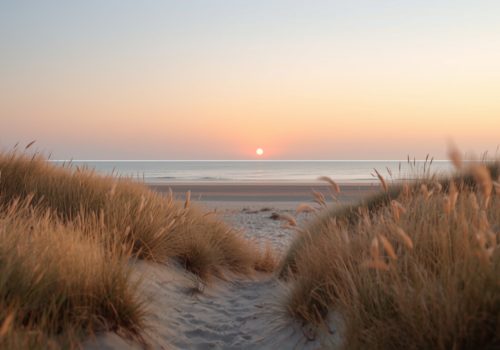 Vakantiehuis 12 personen Zeeland
