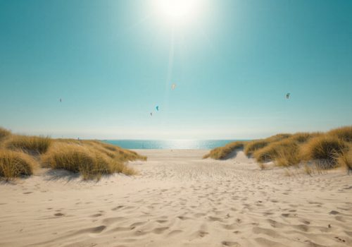 Vakantiehuis Ouddorp 12 personen